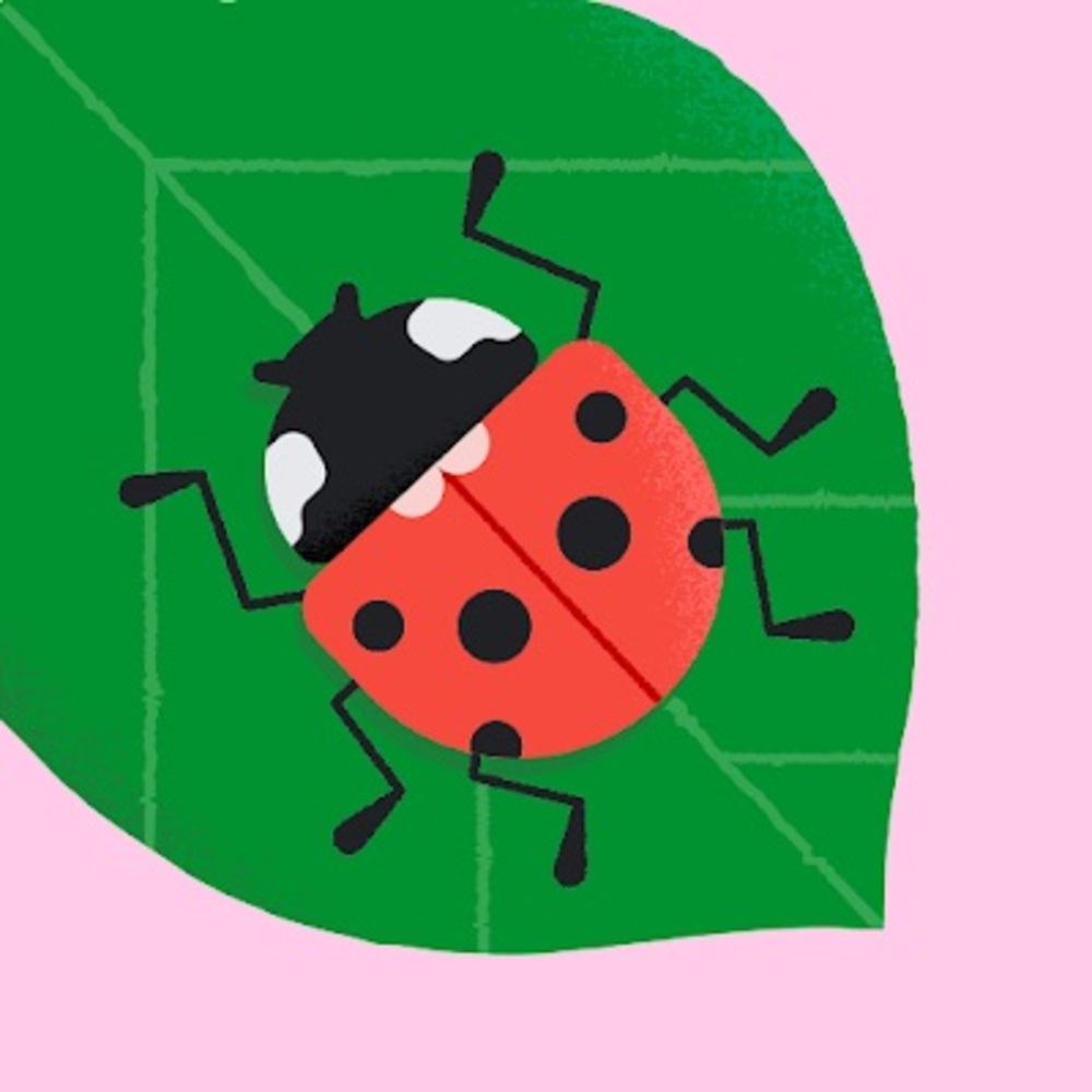 Meet your Posher, Iris